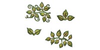 Heartfelt Creations  -  Moules pour feuilles Leafy Accents 3D
